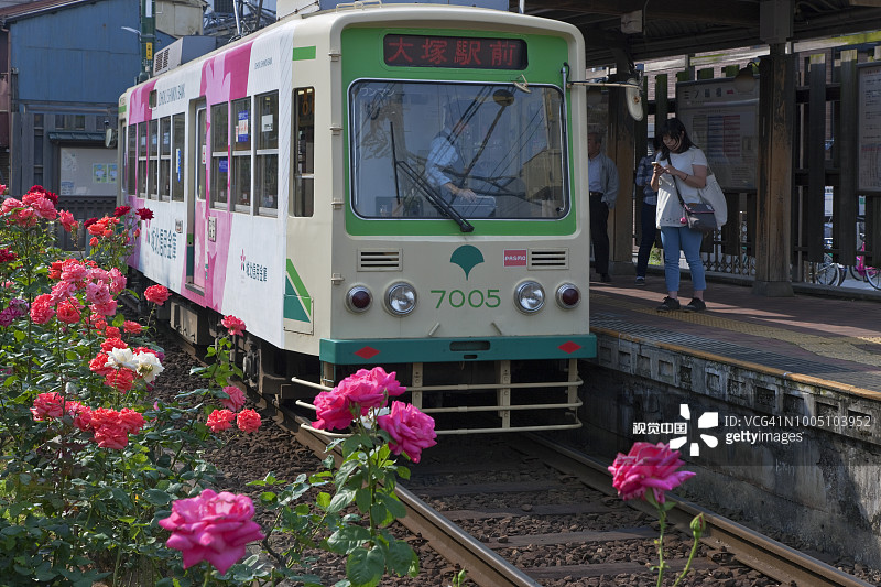 东京：都电荒川线上的有轨电车与鲜花图片素材