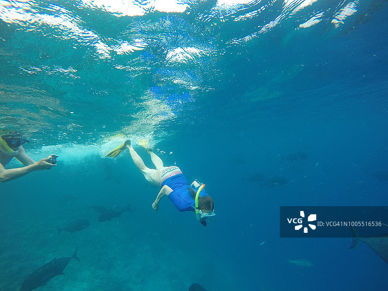 在清澈的热带水域浮潜图片素材