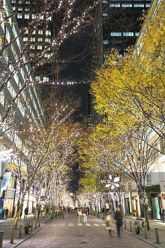 圣诞季丸之内仲通的照明树木图片素材