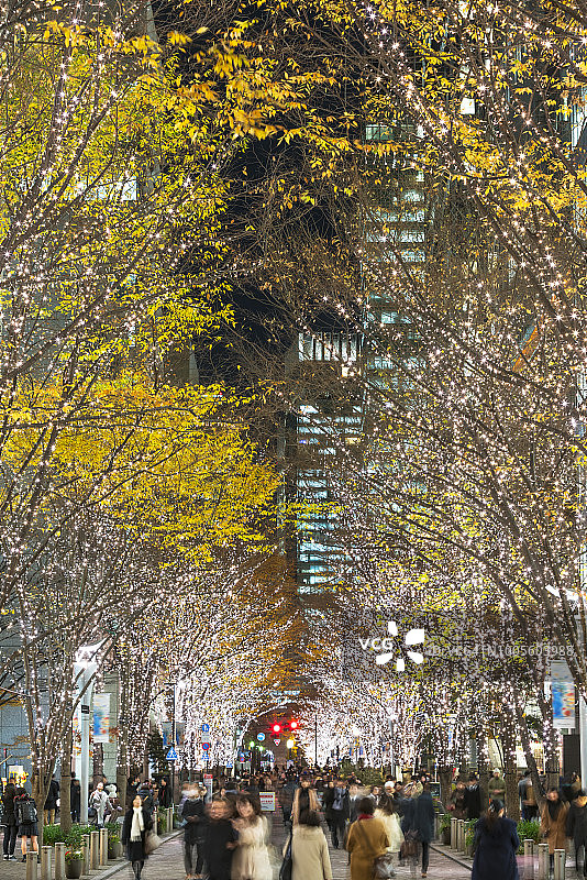 圣诞季丸之内仲通的照明树木图片素材