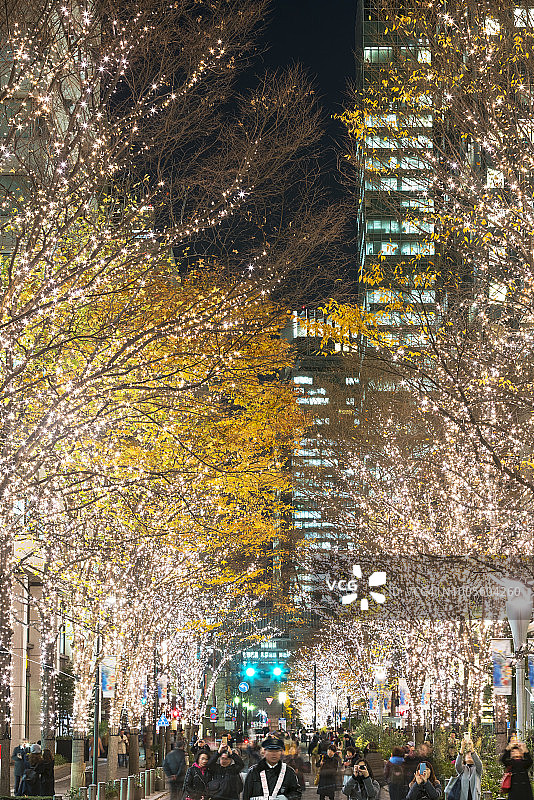 圣诞季丸之内仲通的照明树木图片素材