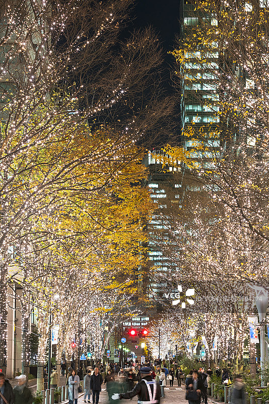 圣诞季丸之内仲通的照明树木图片素材