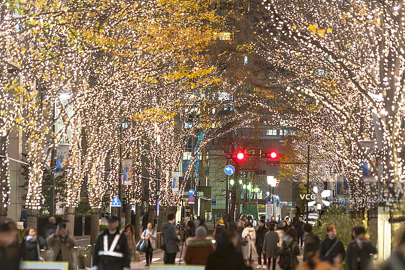圣诞季丸之内仲通的照明树木图片素材