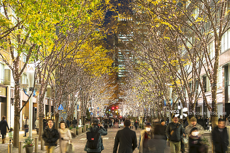 丸之内仲通的圣诞彩灯树图片素材