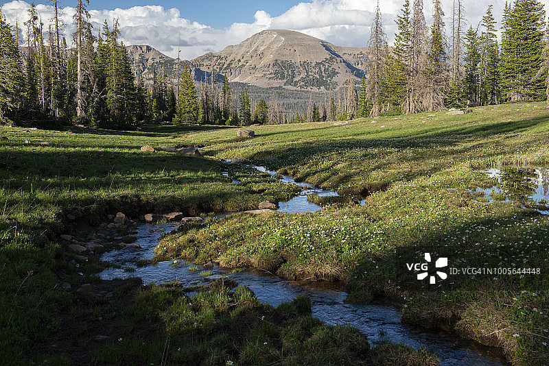 清凉的溪流图片素材