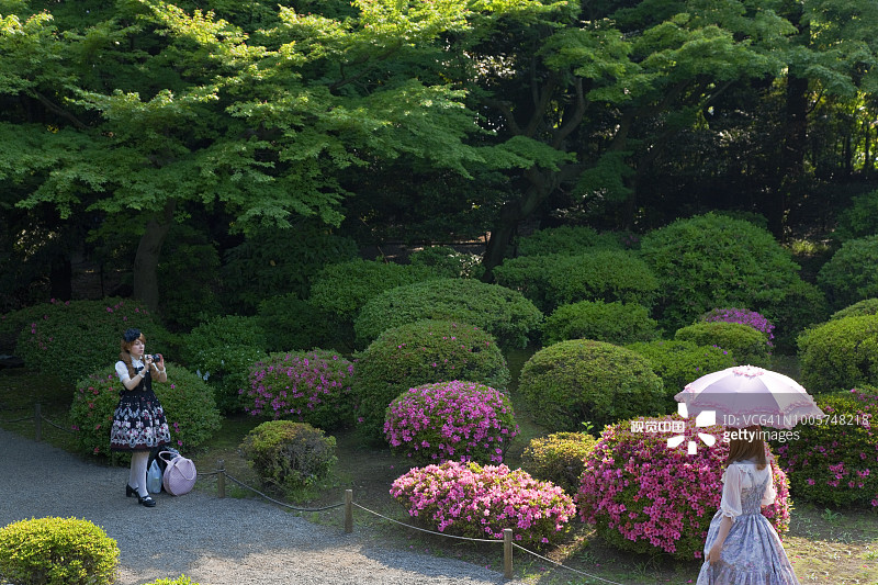 春季东京驹込区旧古河庭园Cosplay图片素材