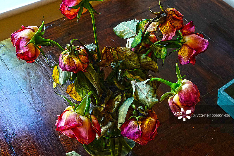 干旱，枯萎的花朵图片素材