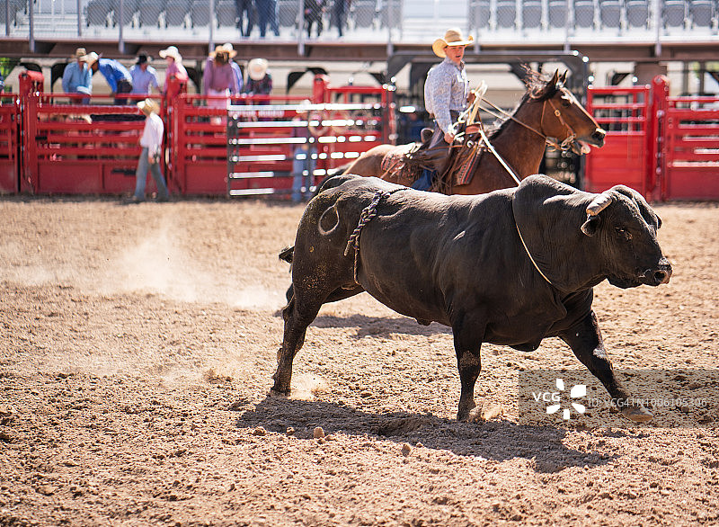 清理竞技场内的公牛图片素材