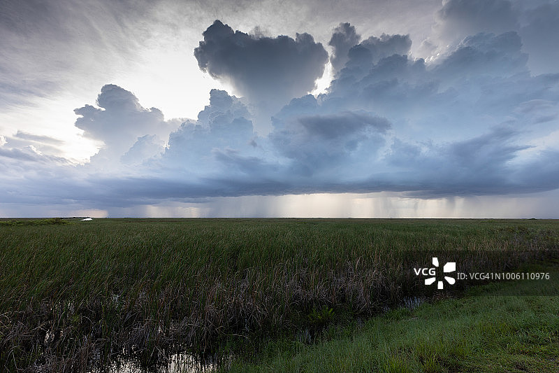 美国佛罗里达州大沼泽地国家公园的地平线风暴图片素材
