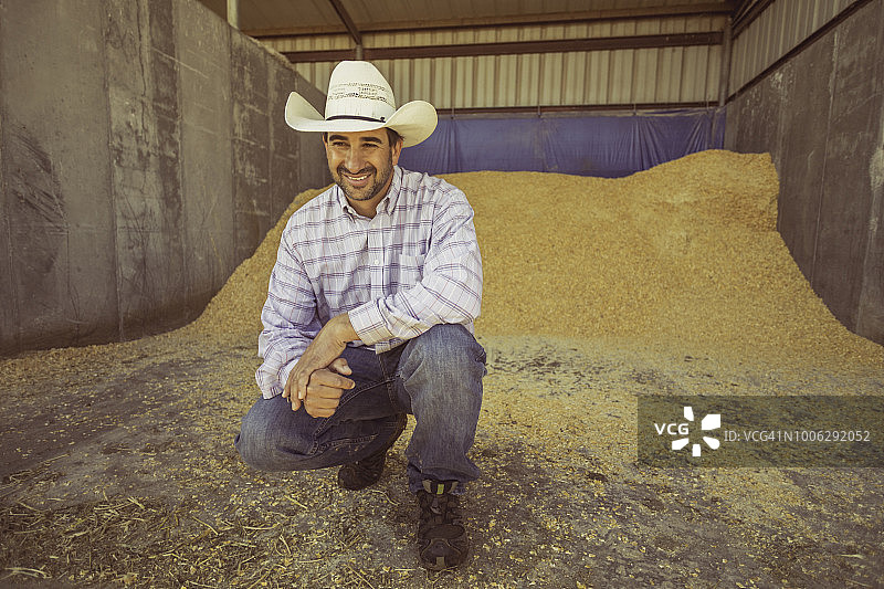 在牧场上用牲畜饲料喂养家畜的农民图片素材