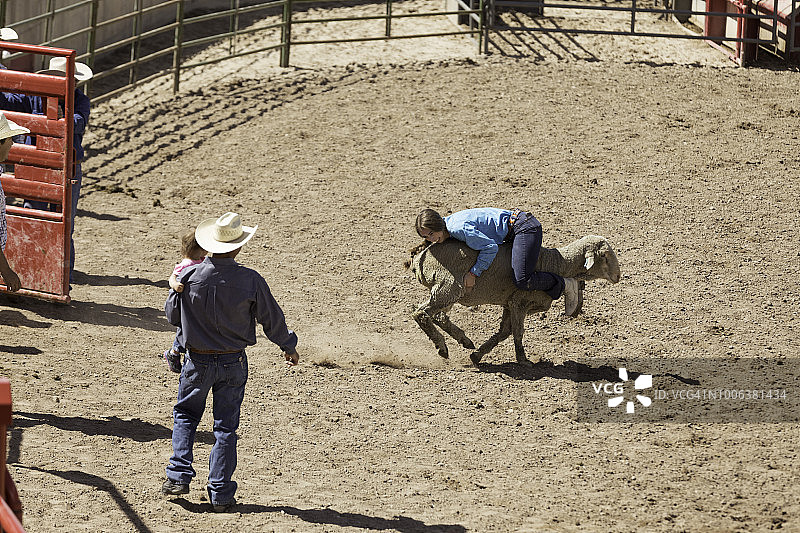 父亲在竞技场抱着儿子观看骑羊比赛图片素材