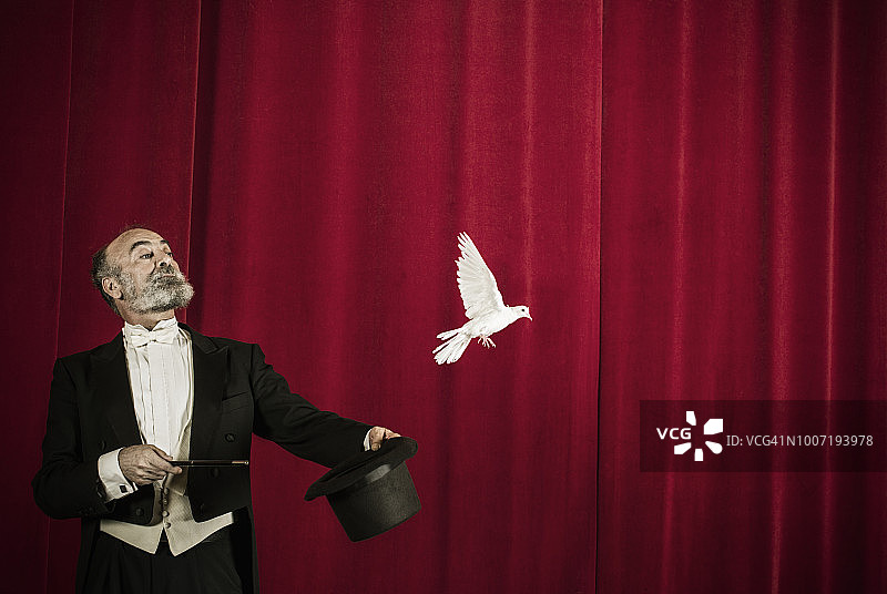 魔术师的鸽子戏法图片素材