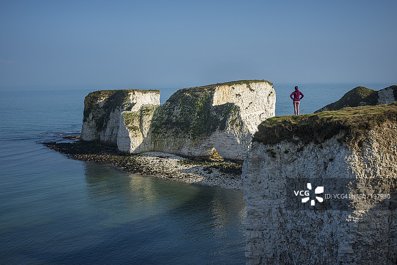 在英国多塞特郡斯 Studland 海湾眺望老哈里岩的女人图片素材