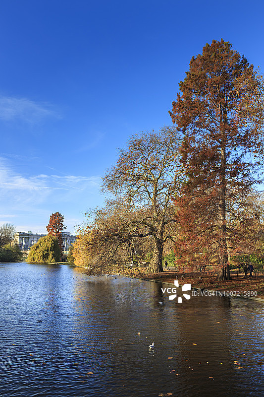 英国伦敦白金汉宫圣詹姆斯公园秋末景色图片素材