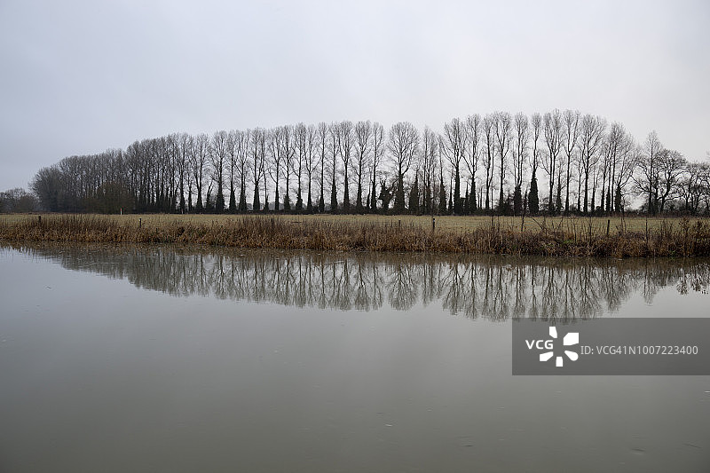 泰晤士河畔的秃树倒影，位于英国格洛斯特郡科茨沃尔德的利奇莱德图片素材