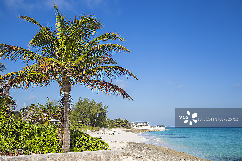 阿巴科群岛芒奥沃礁，巴哈马，西印度群岛，中美洲图片素材