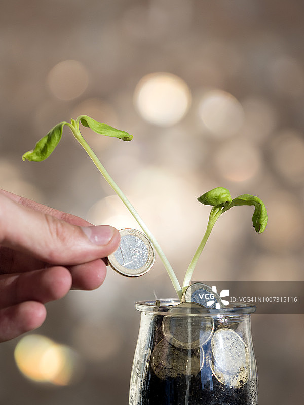 男人的手指拿着欧元货币，喂养一株用欧元区硬币生长的植物图片素材