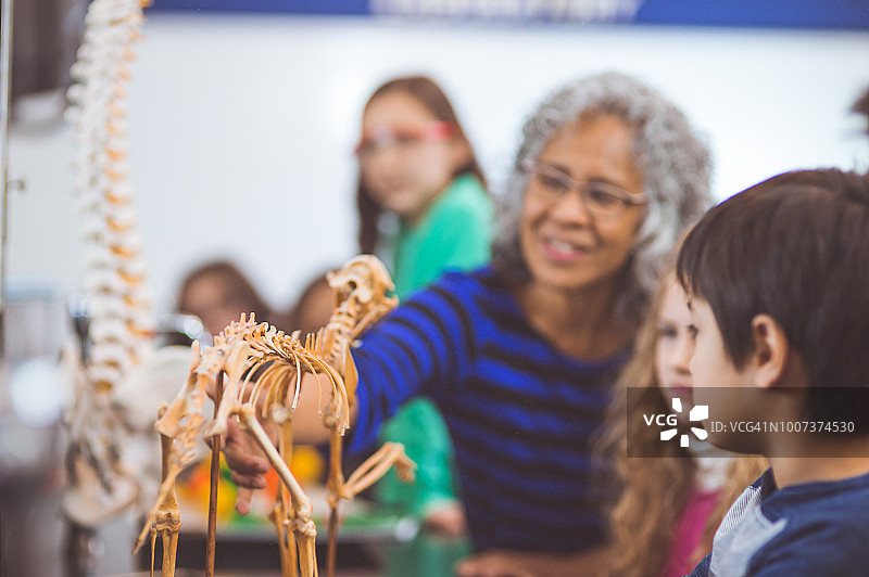 小学老师在科学实验室帮助学生图片素材