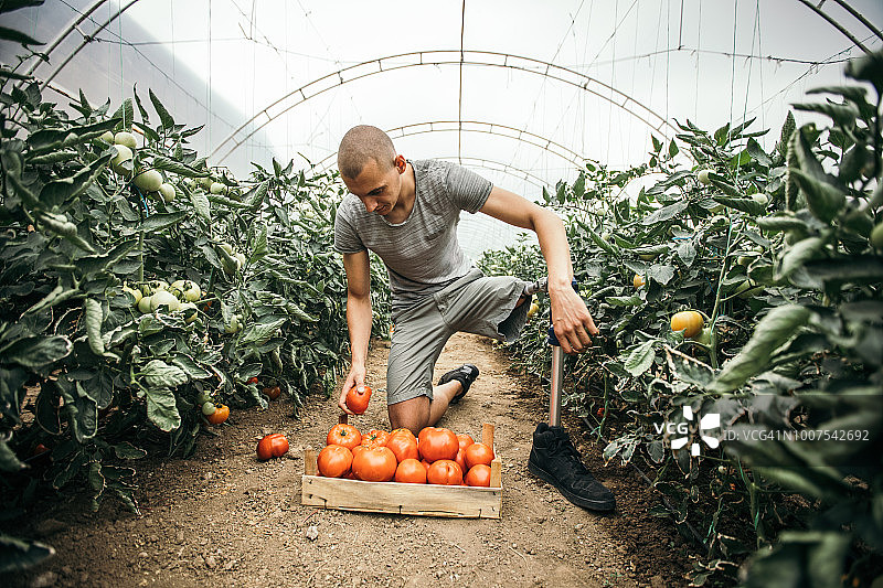 农场上的残疾男子图片素材