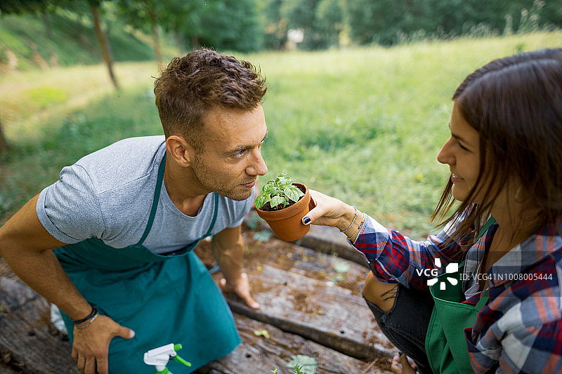 温馨情侣共同园艺图片素材