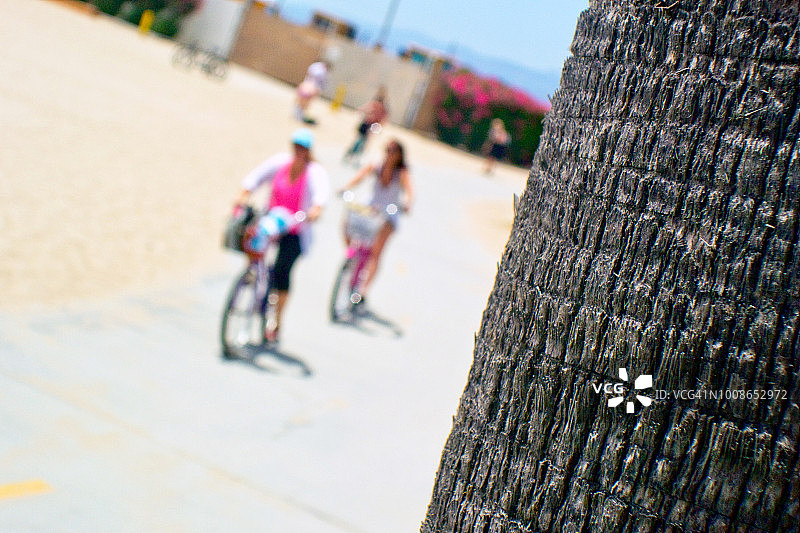 海滩自行车道上的骑行者，前景有树干图片素材