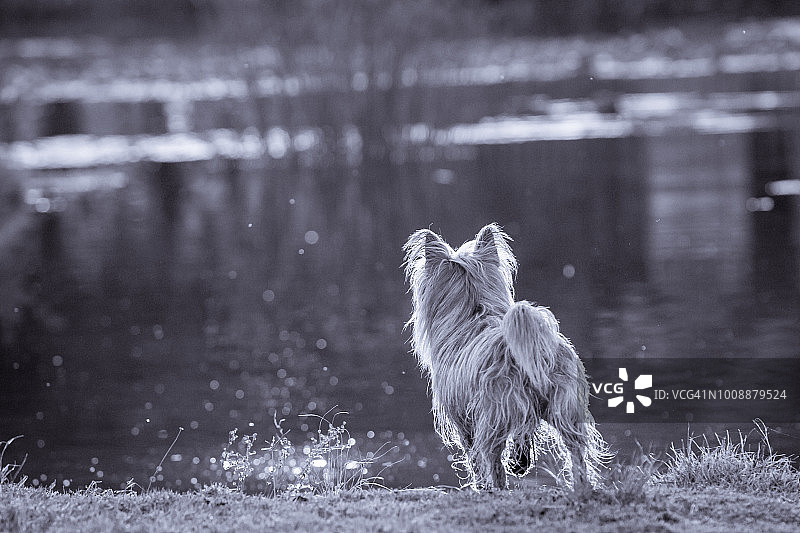 它就在那儿的某个地方图片素材