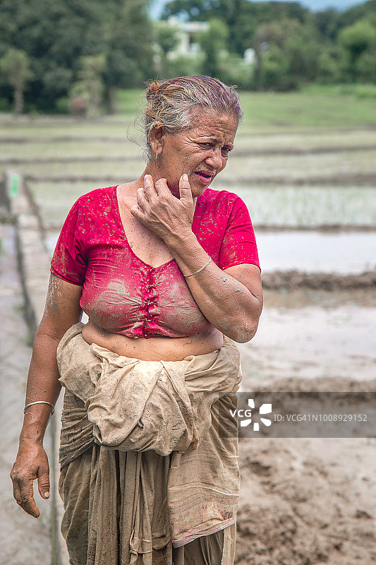 稻田里的女农民肖像图片素材