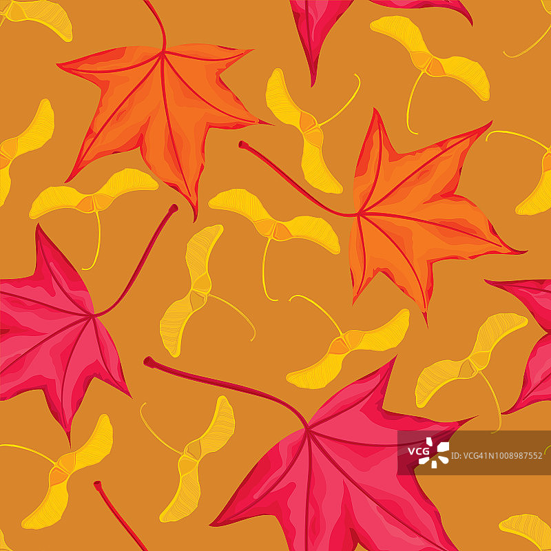 枫叶和种子无缝图案图片素材