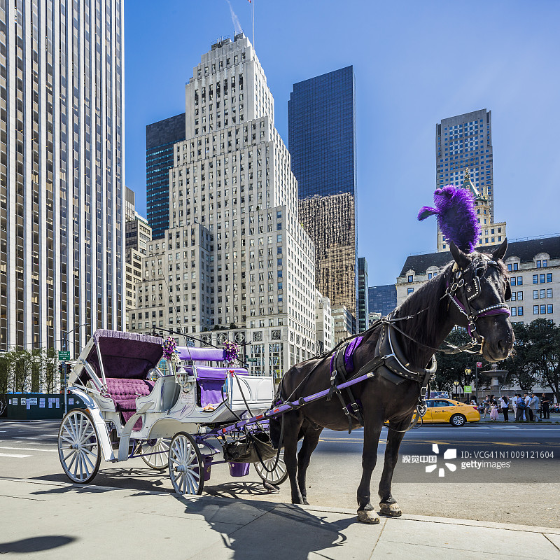 曼哈顿中央公园附近的马车图片素材