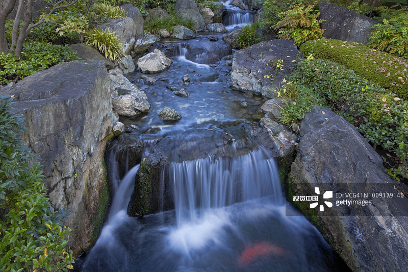 日本东京浅草区浅草寺花园瀑布图片素材
