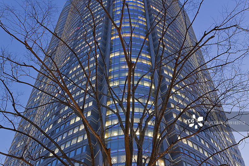 日本东京六本木山的光秃树木和森大厦图片素材