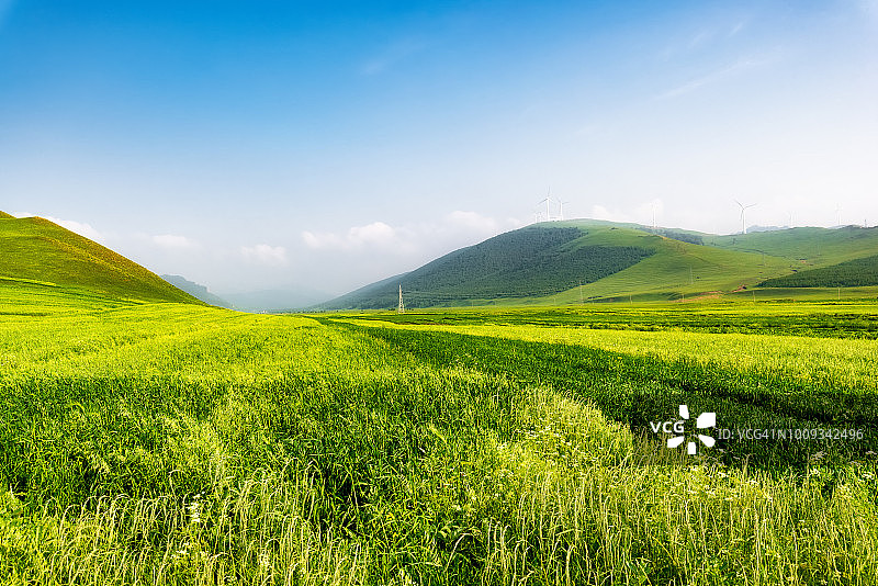 绿地景观图片素材