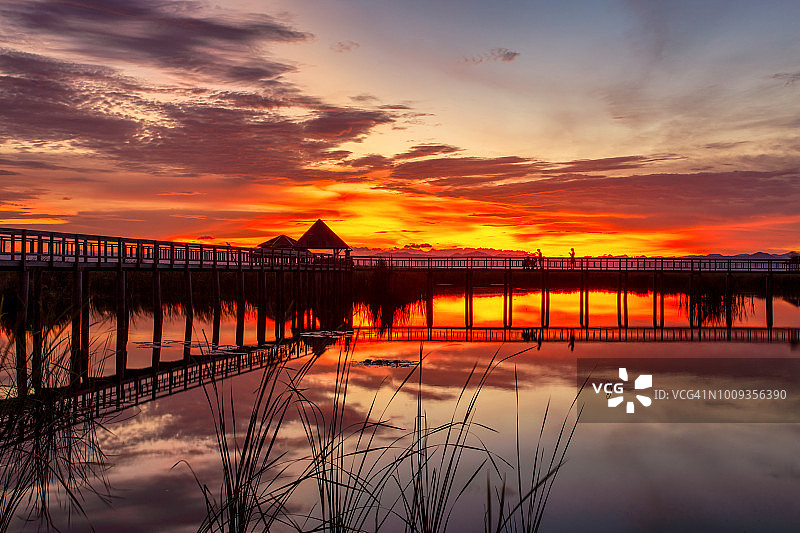 泰国考森罗伊国家公园日落时分的荷花湖上木桥图片素材