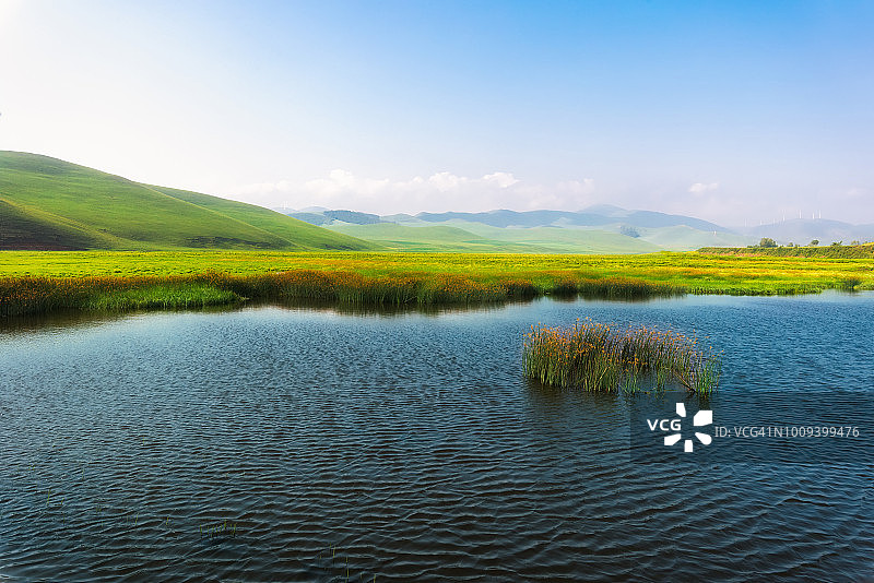 大沼泽地自然风光图片素材