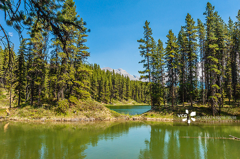 穆斯湖 - 贾斯珀国家公园图片素材