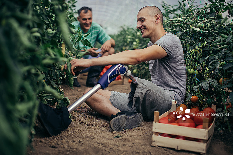 蔬菜农场一景图片素材