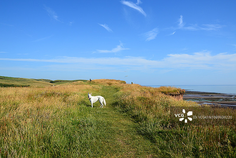 沿海小路漫步图片素材
