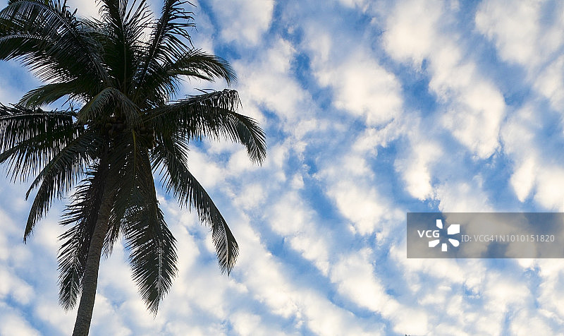 层积云图片素材