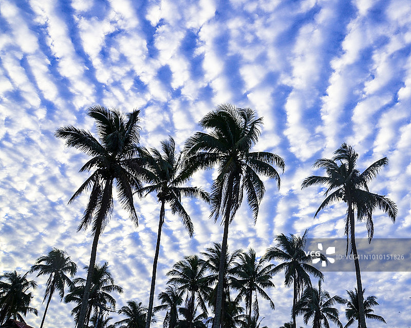 层积云图片素材