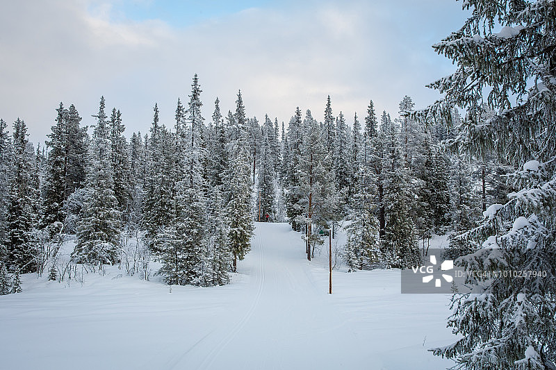 明媚冬日下午，挪威海姆塞达尔村的雪树图片素材