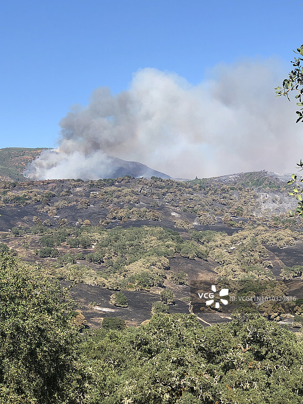 门多西诺县霍普兰的火灾，加利福尼亚州图片素材