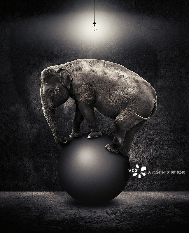 站在球上的大象图片素材