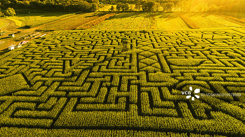 宾夕法尼亚州波科诺斯地区的巨型万圣节玉米迷宫图片素材