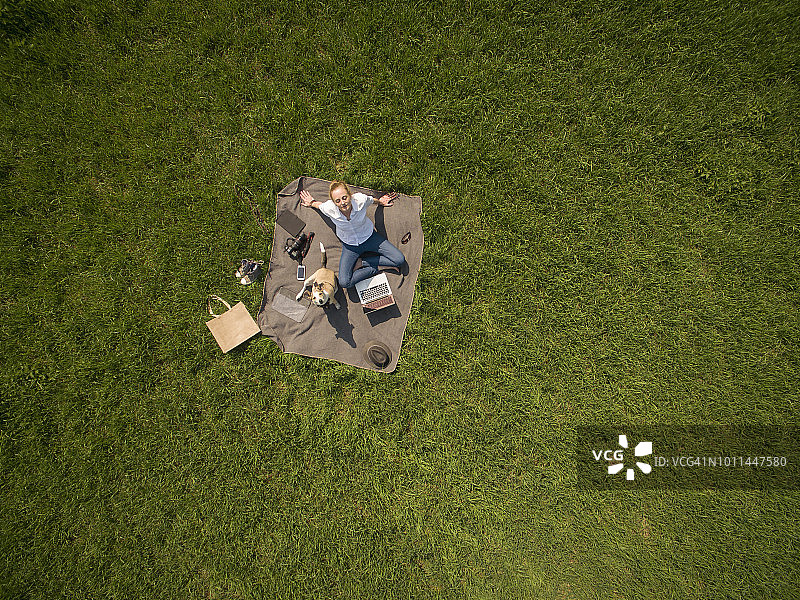 鸟瞰：草地上，女人与狗在毯子上使用笔记本电脑图片素材