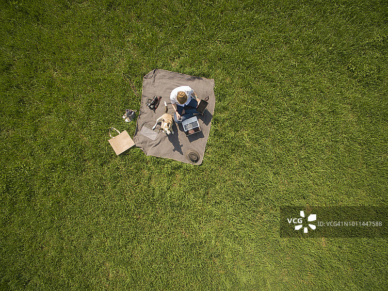 女人与狗在草地上使用笔记本电脑和平板电脑的鸟瞰图图片素材