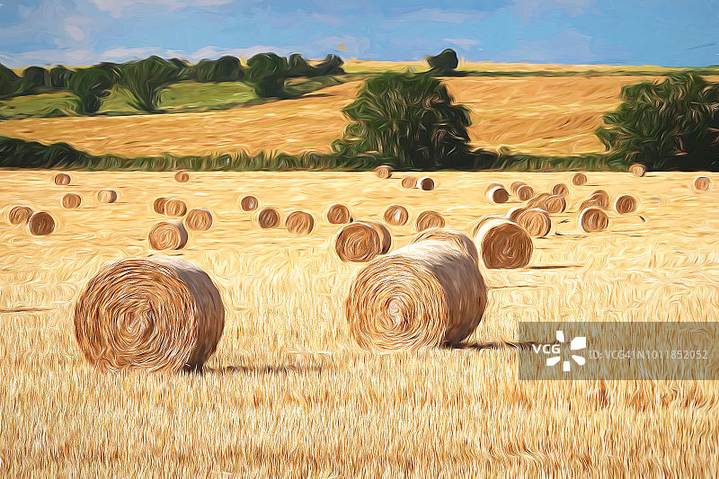 准备收割的干草捆图片素材