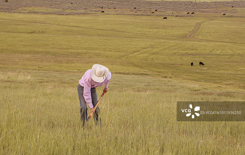 在犹他州盐湖城圣塔金山谷用铲子的年轻牛仔图片素材