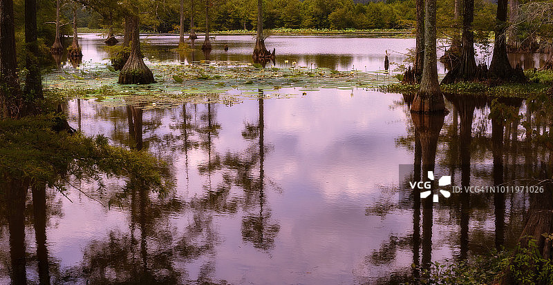 多彩的清晨图片素材