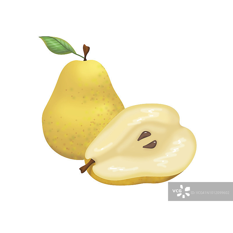 逼真的巴特梨插画图片素材