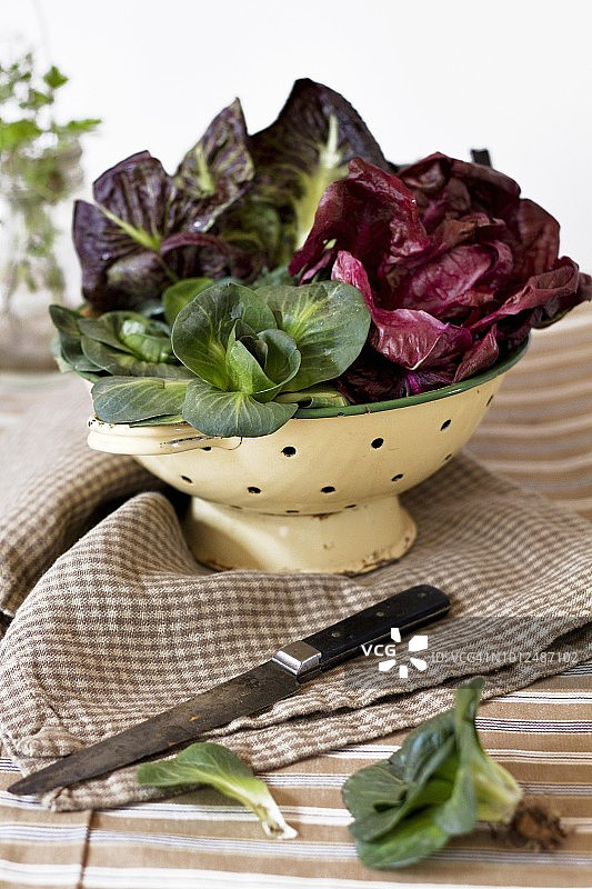 什锦菊苣（沥水篮）图片素材